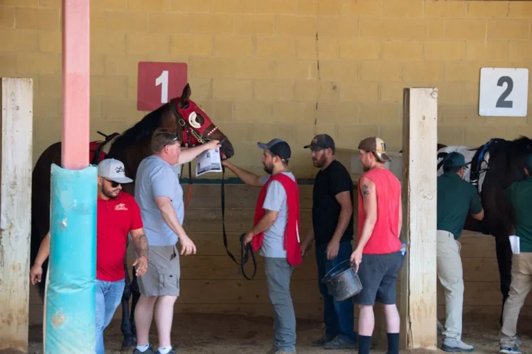 Horse Racing Picks Explained