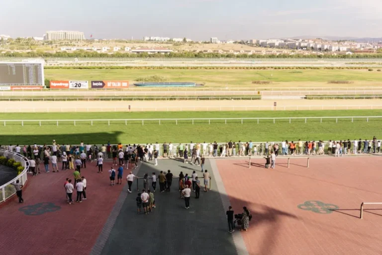 How to Track Betting Results