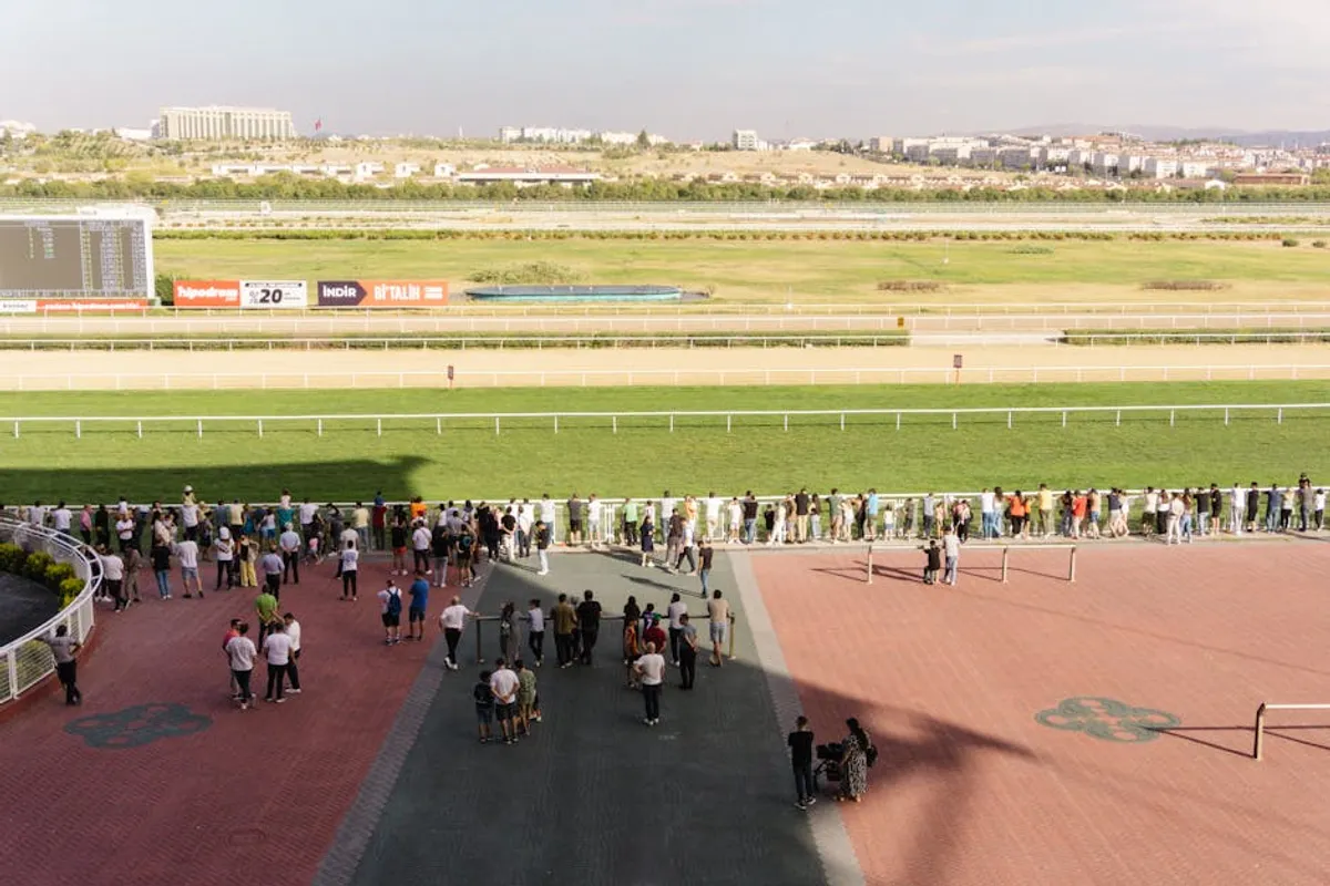 How to Track Betting Results
